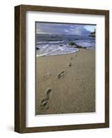 Footprints in the Sand, Turtle Bay Resort Beach, Northshore, Oahu, Hawaii, USA-Darrell Gulin-Framed Photographic Print