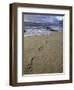 Footprints in the Sand, Turtle Bay Resort Beach, Northshore, Oahu, Hawaii, USA-Darrell Gulin-Framed Photographic Print