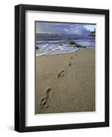 Footprints in the Sand, Turtle Bay Resort Beach, Northshore, Oahu, Hawaii, USA-Darrell Gulin-Framed Photographic Print