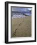 Footprints in the Sand, Turtle Bay Resort Beach, Northshore, Oahu, Hawaii, USA-Darrell Gulin-Framed Photographic Print