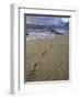 Footprints in the Sand, Turtle Bay Resort Beach, Northshore, Oahu, Hawaii, USA-Darrell Gulin-Framed Photographic Print