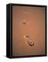 Footprints in the Sand-Jon Arnold-Framed Stretched Canvas