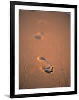 Footprints in the Sand-Jon Arnold-Framed Photographic Print