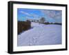 Footprints in the Snow, 2009-Andrew Macara-Framed Giclee Print