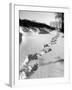 Footprints in the Snow-null-Framed Photographic Print
