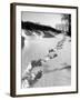 Footprints in the Snow-null-Framed Photographic Print