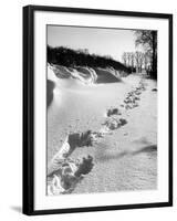 Footprints in the Snow-null-Framed Photographic Print