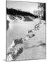 Footprints in the Snow-null-Mounted Photographic Print