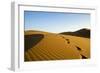 Footprints Leading over a Dune-null-Framed Photographic Print