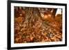 Footprints of Fall-Bob Larson-Framed Art Print