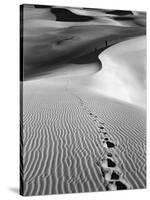 Footprints on Desert Dunes-Bettmann-Stretched Canvas