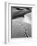 Footprints on Desert Dunes-Bettmann-Framed Photographic Print