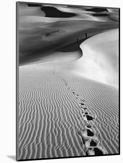 Footprints on Desert Dunes-Bettmann-Mounted Photographic Print