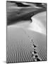 Footprints on Desert Dunes-Bettmann-Mounted Photographic Print
