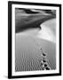 Footprints on Desert Dunes-Bettmann-Framed Photographic Print