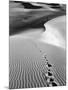 Footprints on Desert Dunes-Bettmann-Mounted Photographic Print