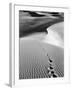 Footprints on Desert Dunes-Bettmann-Framed Photographic Print