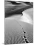 Footprints on Desert Dunes-Bettmann-Mounted Photographic Print
