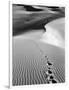 Footprints on Desert Dunes-Bettmann-Framed Photographic Print