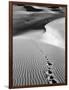 Footprints on Desert Dunes-Bettmann-Framed Photographic Print