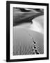 Footprints on Desert Dunes-Bettmann-Framed Photographic Print