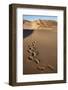 Footprints on Sand Dunes Near Swakopmund, Dorob National Park, Namibia, Africa-Ann and Steve Toon-Framed Photographic Print