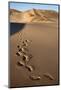 Footprints on Sand Dunes Near Swakopmund, Dorob National Park, Namibia, Africa-Ann and Steve Toon-Mounted Photographic Print