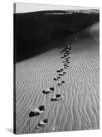 Footprints on Sand Dunes of North Carolina Beach-Fritz Goro-Stretched Canvas