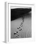 Footprints on Sand Dunes of North Carolina Beach-Fritz Goro-Framed Photographic Print