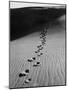 Footprints on Sand Dunes of North Carolina Beach-Fritz Goro-Mounted Photographic Print