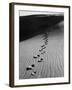 Footprints on Sand Dunes of North Carolina Beach-Fritz Goro-Framed Photographic Print