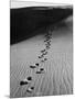 Footprints on Sand Dunes of North Carolina Beach-Fritz Goro-Mounted Photographic Print