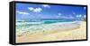 Footprints on the beach, Cancun, Mexico-Panoramic Images-Framed Stretched Canvas