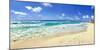 Footprints on the beach, Cancun, Mexico-Panoramic Images-Mounted Photographic Print