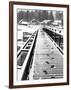 Footprints on the Bridge, Somino Village, Leningrad Region, Russia-Nadia Isakova-Framed Photographic Print