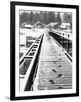 Footprints on the Bridge, Somino Village, Leningrad Region, Russia-Nadia Isakova-Framed Photographic Print