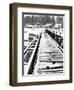 Footprints on the Bridge, Somino Village, Leningrad Region, Russia-Nadia Isakova-Framed Photographic Print