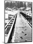 Footprints on the Bridge, Somino Village, Leningrad Region, Russia-Nadia Isakova-Mounted Photographic Print