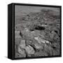 Footprints on the Surface of the Moon-null-Framed Stretched Canvas