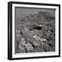 Footprints on the Surface of the Moon-null-Framed Photographic Print