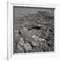 Footprints on the Surface of the Moon-null-Framed Photographic Print