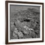 Footprints on the Surface of the Moon-null-Framed Photographic Print