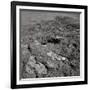 Footprints on the Surface of the Moon-null-Framed Photographic Print