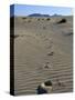 Footprints Through Sand Dunes, Near Corralejo, Fuerteventura, Canary Islands, Spain, Europe-Stuart Black-Stretched Canvas