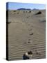 Footprints Through Sand Dunes, Near Corralejo, Fuerteventura, Canary Islands, Spain, Europe-Stuart Black-Stretched Canvas