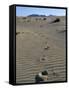 Footprints Through Sand Dunes, Near Corralejo, Fuerteventura, Canary Islands, Spain, Europe-Stuart Black-Framed Stretched Canvas