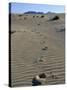 Footprints Through Sand Dunes, Near Corralejo, Fuerteventura, Canary Islands, Spain, Europe-Stuart Black-Stretched Canvas