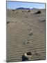 Footprints Through Sand Dunes, Near Corralejo, Fuerteventura, Canary Islands, Spain, Europe-Stuart Black-Mounted Photographic Print