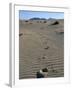 Footprints Through Sand Dunes, Near Corralejo, Fuerteventura, Canary Islands, Spain, Europe-Stuart Black-Framed Photographic Print