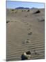 Footprints Through Sand Dunes, Near Corralejo, Fuerteventura, Canary Islands, Spain, Europe-Stuart Black-Mounted Photographic Print